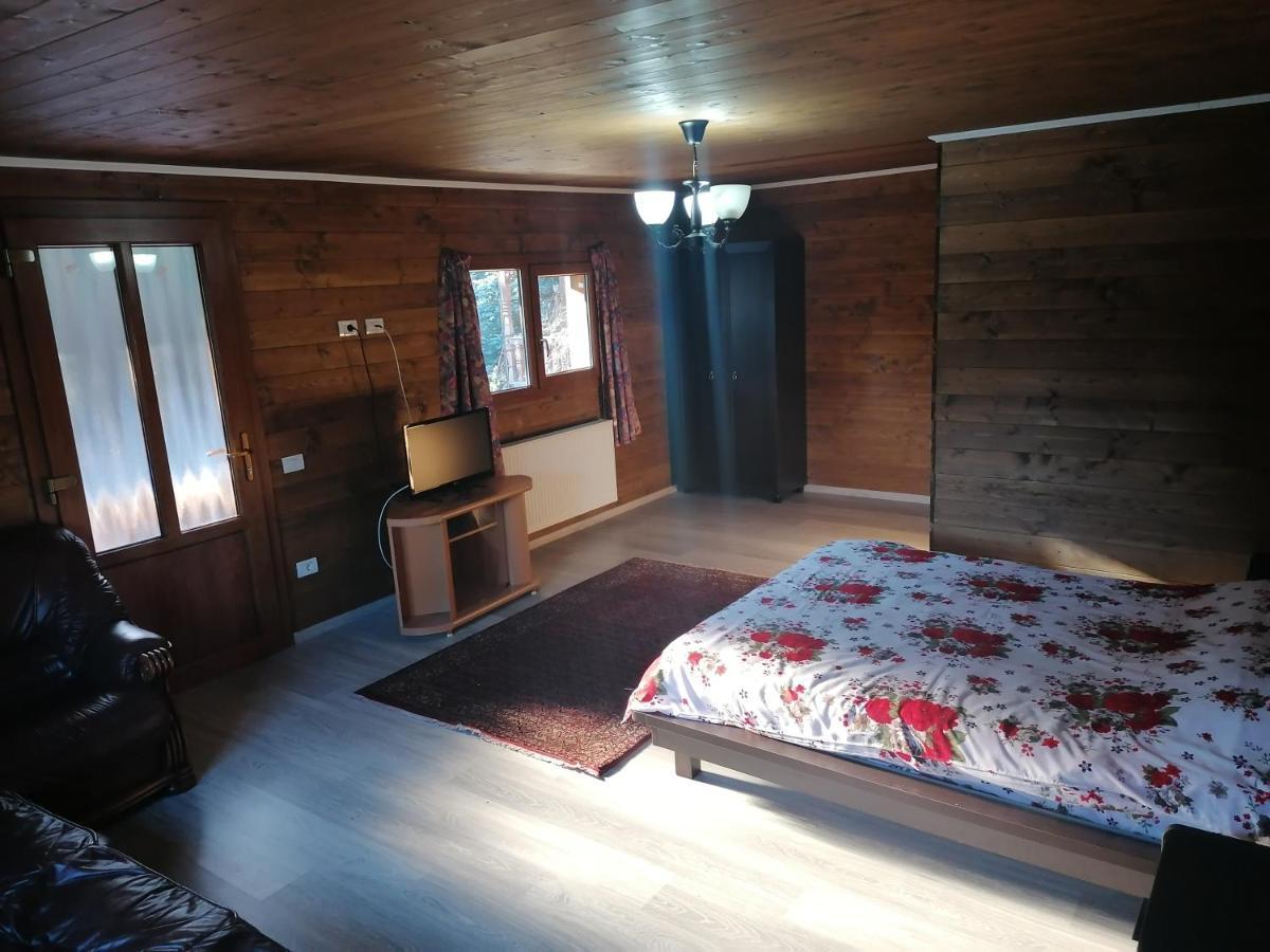 Pensiunea Perla Maramuresului Borşa Exterior foto