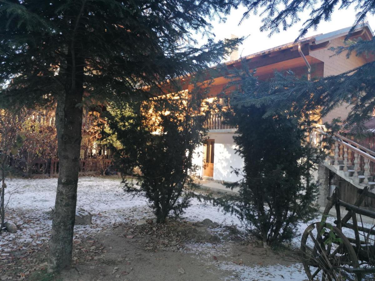 Pensiunea Perla Maramuresului Borşa Exterior foto